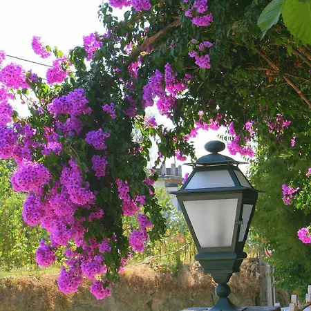 Corredoura Garden 3*