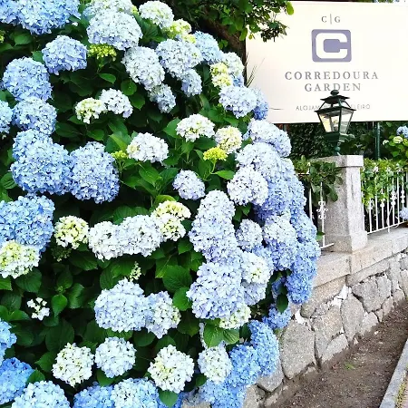 게스트하우스 Corredoura Garden 3*