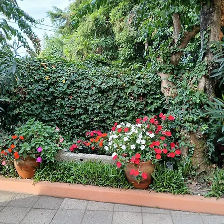 Corredoura Garden 게스트하우스 3*