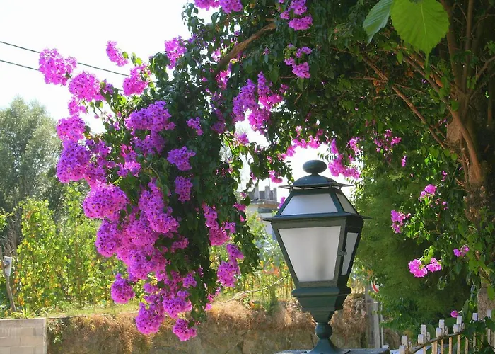 Corredoura Garden 3*