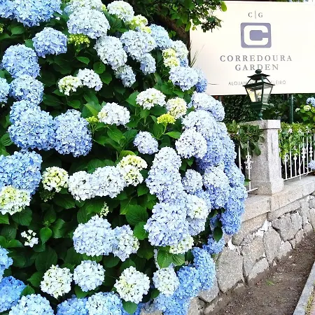 Pensjonat Corredoura Garden 3*