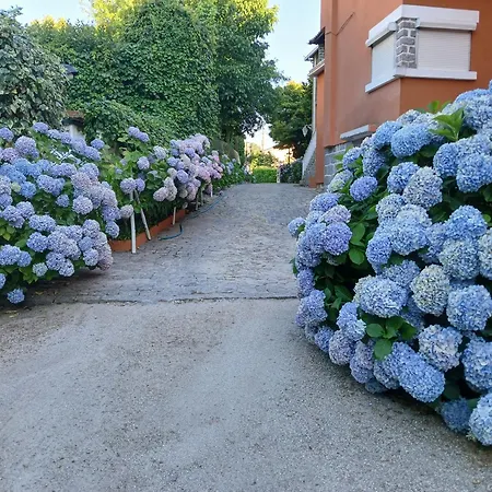 Corredoura Garden Maison d'hôtes Caldelas