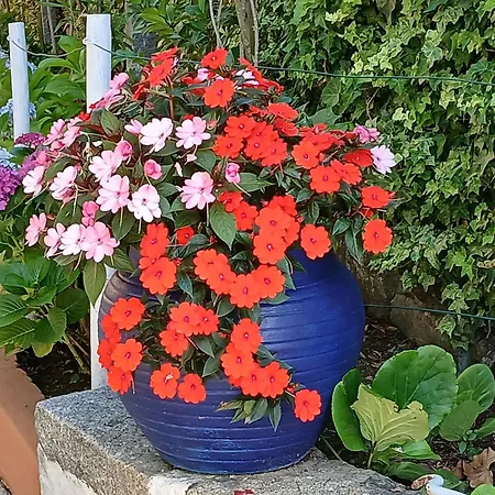 Corredoura Garden Gasthof
